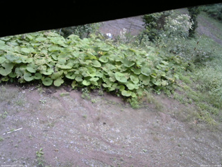 長野県菅平高原 ゆたか山荘 駐車場 2025/09/12 11:45