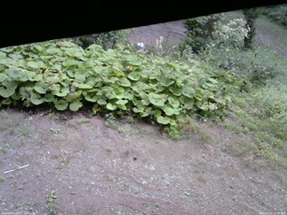 長野県菅平高原 ゆたか山荘 駐車場 2025/09/12 12:00