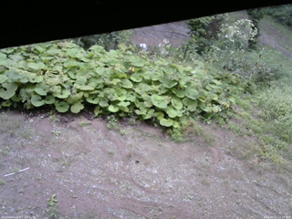 長野県菅平高原 ゆたか山荘 駐車場 2025/09/12 12:15