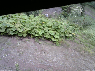 長野県菅平高原 ゆたか山荘 駐車場 2025/09/12 12:45