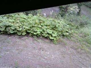 長野県菅平高原 ゆたか山荘 駐車場 2025/09/12 13:00