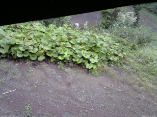 長野県菅平高原 ゆたか山荘 駐車場 2025/09/12 14:00