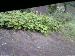 長野県菅平高原 ゆたか山荘 駐車場 2025/09/12 15:45