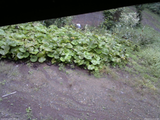 長野県菅平高原 ゆたか山荘 駐車場 2025/09/12 17:15