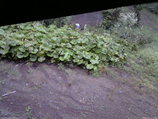 長野県菅平高原 ゆたか山荘 駐車場 2025/09/12 17:45