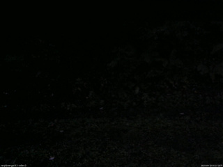 長野県菅平高原 ゆたか山荘 南側 2025/09/13 05:15