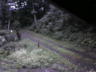 長野県菅平高原 ゆたか山荘 東側(坂下) 2025/09/13 05:30