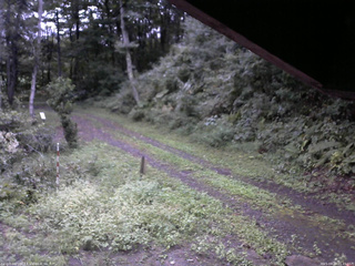 長野県菅平高原 ゆたか山荘 東側(坂下) 2025/09/13 05:45