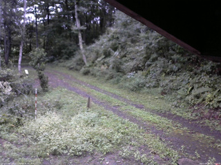 長野県菅平高原 ゆたか山荘 東側(坂下) 2025/09/13 06:00