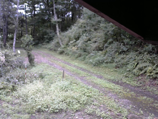 長野県菅平高原 ゆたか山荘 東側(坂下) 2025/09/13 10:45