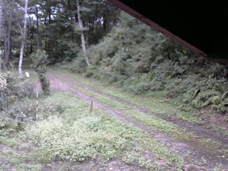 長野県菅平高原 ゆたか山荘 東側(坂下) 2025/09/13 15:00