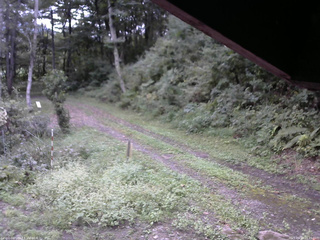 長野県菅平高原 ゆたか山荘 東側(坂下) 2025/09/13 16:45