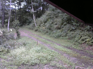 長野県菅平高原 ゆたか山荘 東側(坂下) 2025/09/13 17:00