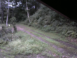 長野県菅平高原 ゆたか山荘 東側(坂下) 2025/09/13 17:45