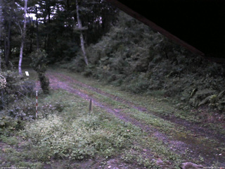 長野県菅平高原 ゆたか山荘 東側(坂下) 2025/09/13 18:00