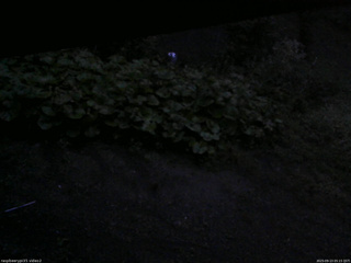 長野県菅平高原 ゆたか山荘 駐車場 2025/09/13 05:15