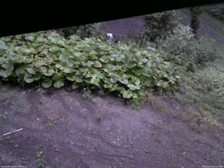 長野県菅平高原 ゆたか山荘 駐車場 2025/09/13 05:30