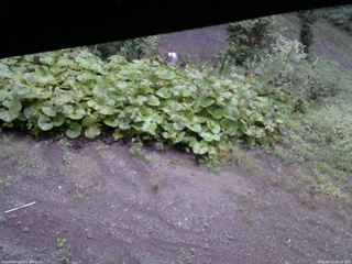 長野県菅平高原 ゆたか山荘 駐車場 2025/09/13 05:45