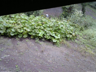 長野県菅平高原 ゆたか山荘 駐車場 2025/09/13 06:30