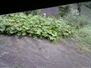 長野県菅平高原 ゆたか山荘 駐車場 2025/09/13 06:45