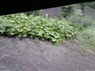 長野県菅平高原 ゆたか山荘 駐車場 2025/09/13 07:00