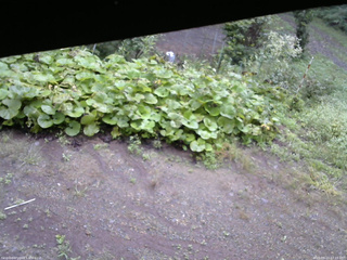 長野県菅平高原 ゆたか山荘 駐車場 2025/09/13 07:15
