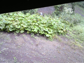 長野県菅平高原 ゆたか山荘 駐車場 2025/09/13 07:30