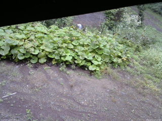 長野県菅平高原 ゆたか山荘 駐車場 2025/09/13 07:45