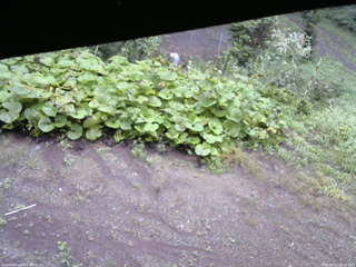 長野県菅平高原 ゆたか山荘 駐車場 2025/09/13 08:00