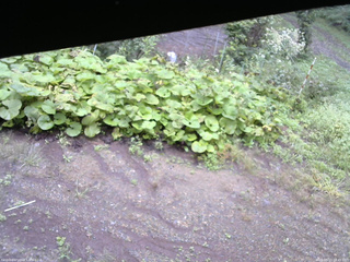 長野県菅平高原 ゆたか山荘 駐車場 2025/09/13 08:45