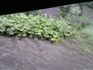 長野県菅平高原 ゆたか山荘 駐車場 2025/09/13 09:45