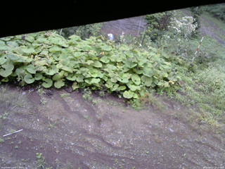 長野県菅平高原 ゆたか山荘 駐車場 2025/09/13 10:15