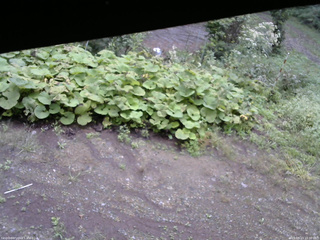 長野県菅平高原 ゆたか山荘 駐車場 2025/09/13 10:30