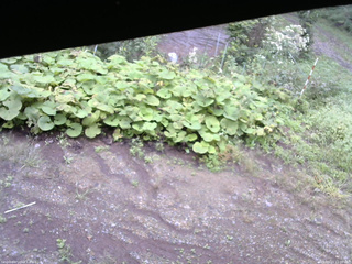 長野県菅平高原 ゆたか山荘 駐車場 2025/09/13 11:00