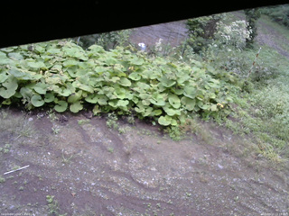 長野県菅平高原 ゆたか山荘 駐車場 2025/09/13 11:15