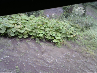 長野県菅平高原 ゆたか山荘 駐車場 2025/09/13 11:45