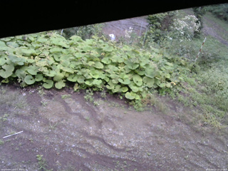 長野県菅平高原 ゆたか山荘 駐車場 2025/09/13 14:15