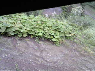 長野県菅平高原 ゆたか山荘 駐車場 2025/09/13 14:30