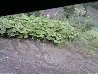 長野県菅平高原 ゆたか山荘 駐車場 2025/09/13 15:45