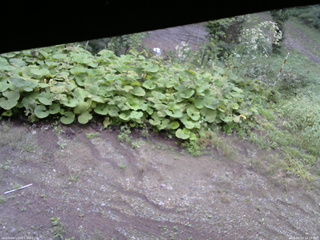 長野県菅平高原 ゆたか山荘 駐車場 2025/09/13 16:15