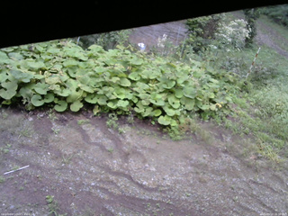 長野県菅平高原 ゆたか山荘 駐車場 2025/09/13 16:30