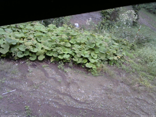 長野県菅平高原 ゆたか山荘 駐車場 2025/09/13 17:00