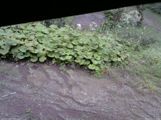 長野県菅平高原 ゆたか山荘 駐車場 2025/09/13 17:30