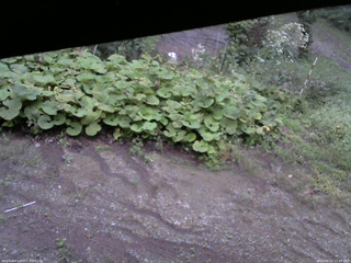 長野県菅平高原 ゆたか山荘 駐車場 2025/09/13 17:45