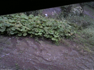 長野県菅平高原 ゆたか山荘 駐車場 2025/09/13 18:00