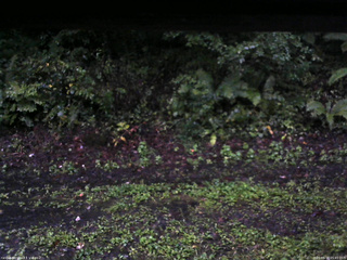 長野県菅平高原 ゆたか山荘 南側 2025/09/14 05:45
