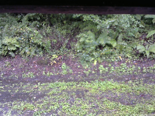 長野県菅平高原 ゆたか山荘 南側 2025/09/14 07:15