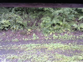 長野県菅平高原 ゆたか山荘 南側 2025/09/14 09:30