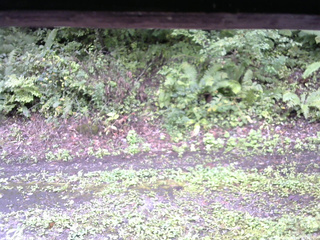 長野県菅平高原 ゆたか山荘 南側 2025/09/14 11:00