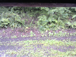 長野県菅平高原 ゆたか山荘 南側 2025/09/14 13:15
